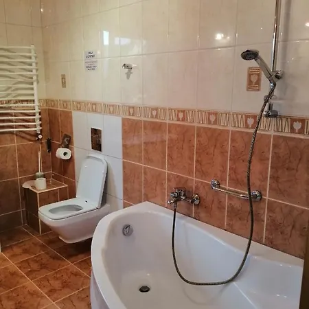 Delfin Nocleg ze śniadaniem 3*