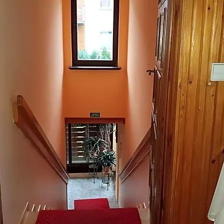 Delfin Bed and Breakfast
