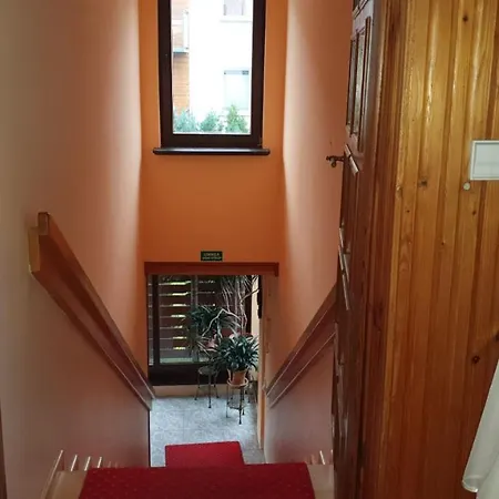 Alojamento de Acomodação e Pequeno-almoço Delfin