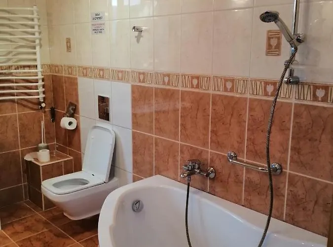 Delfin Nocleg ze śniadaniem 3*